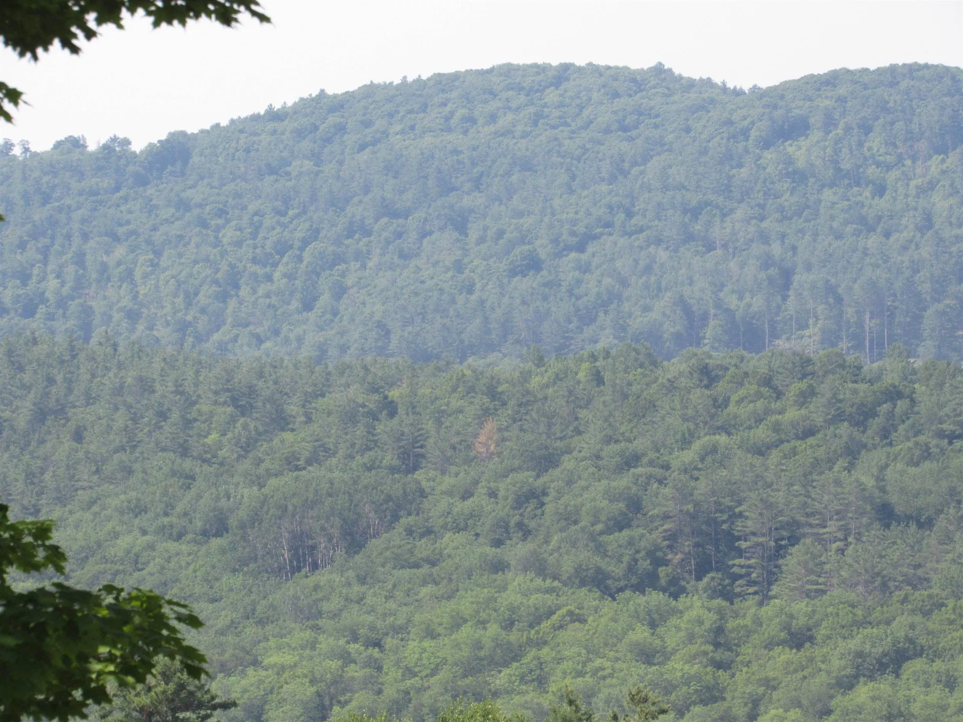 47 Watkins Road Danville VT 05828
