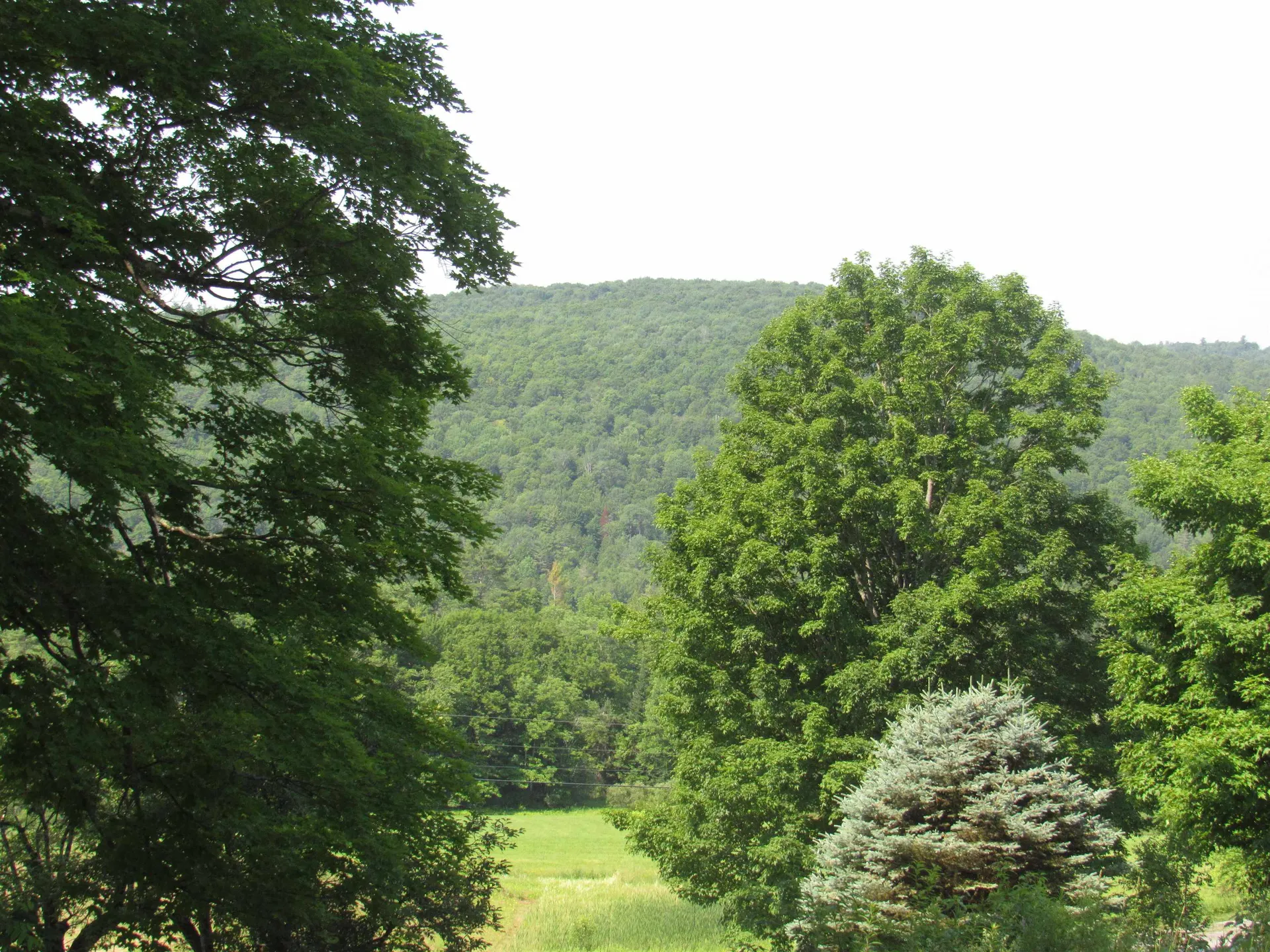 47 Watkins Road Danville VT 05828