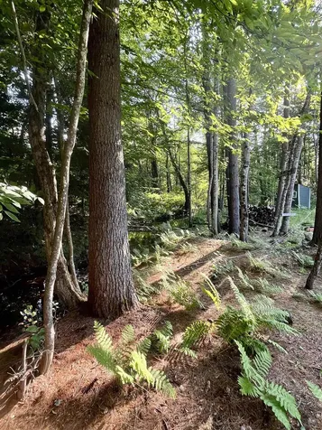 862 Mayhew Turnpike Bridgewater NH 03235