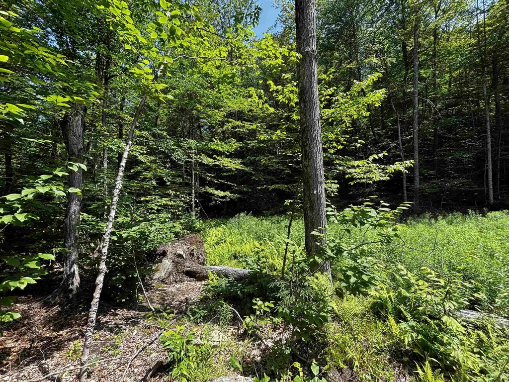 00 Quarry Road Chester VT 01543