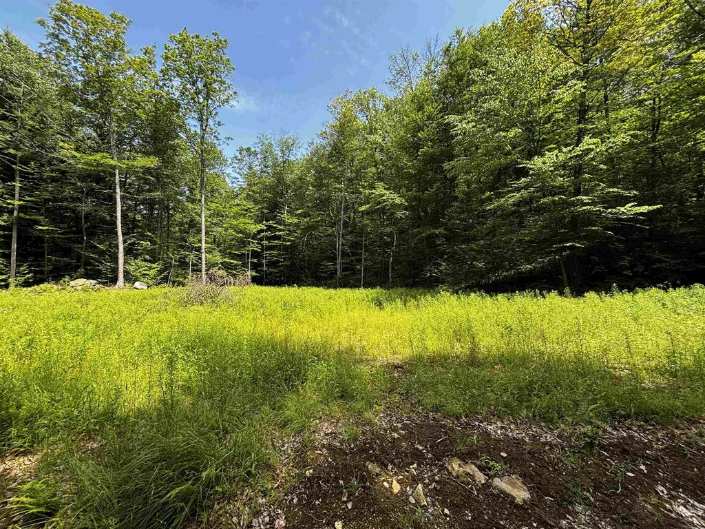 00 Quarry Road Chester VT 01543