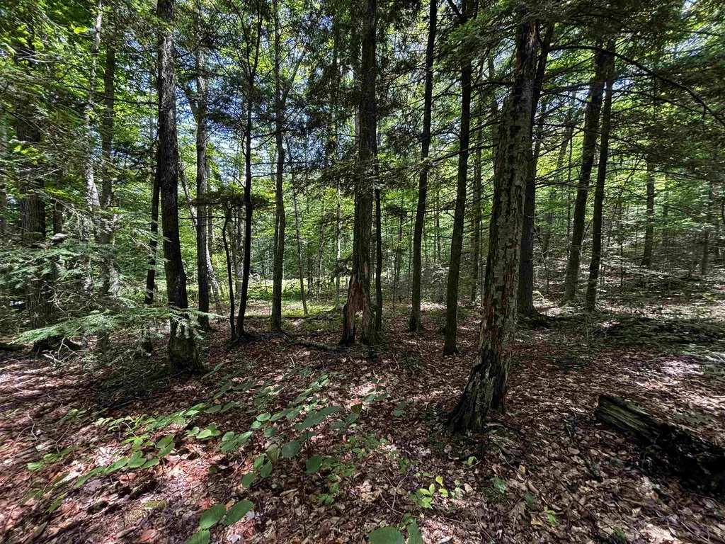 00 Quarry Road Chester VT 01543