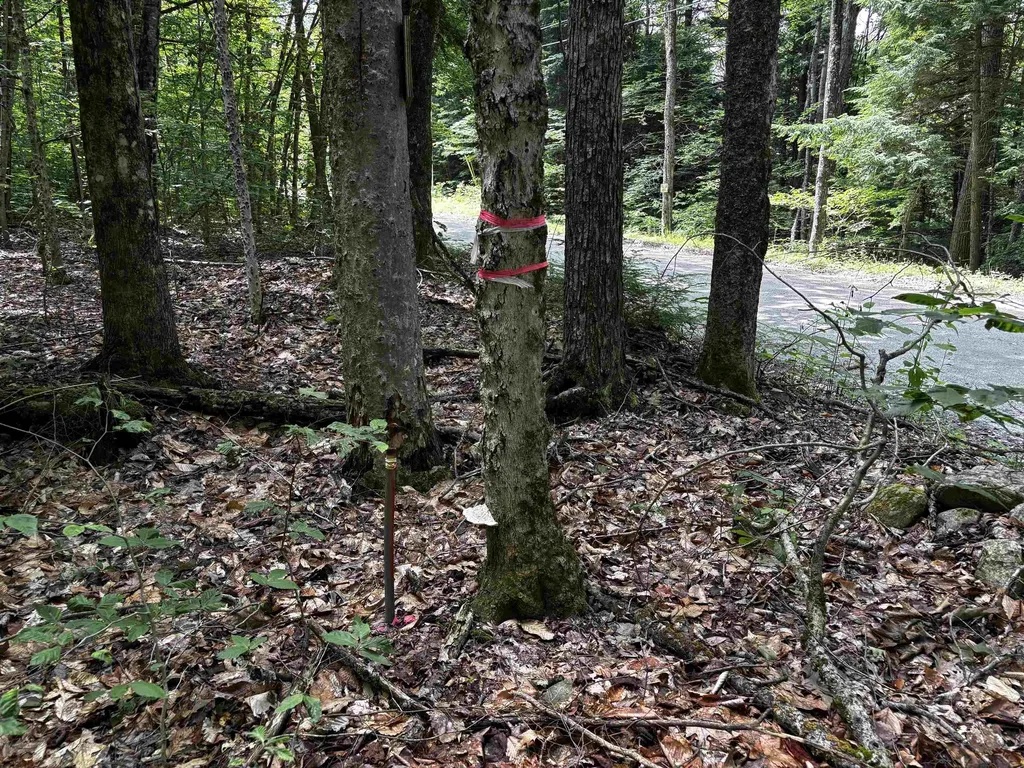 00 Quarry Road Chester VT 01543