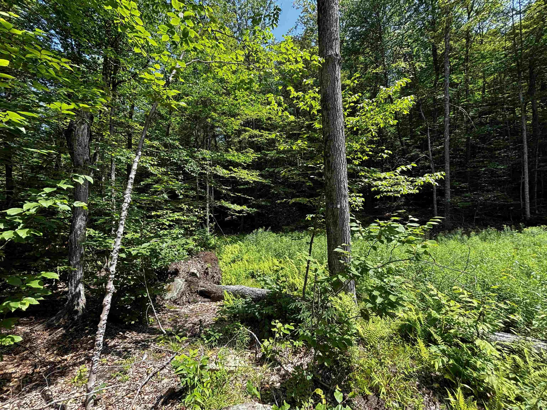 00 Quarry Road Chester VT 01543