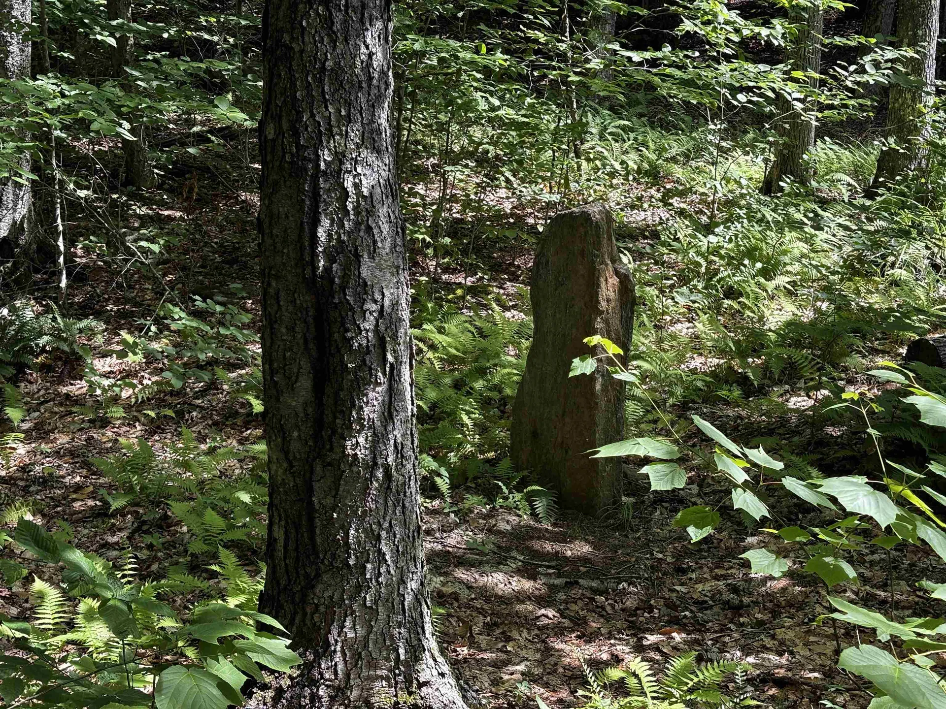 00 Quarry Road Chester VT 01543