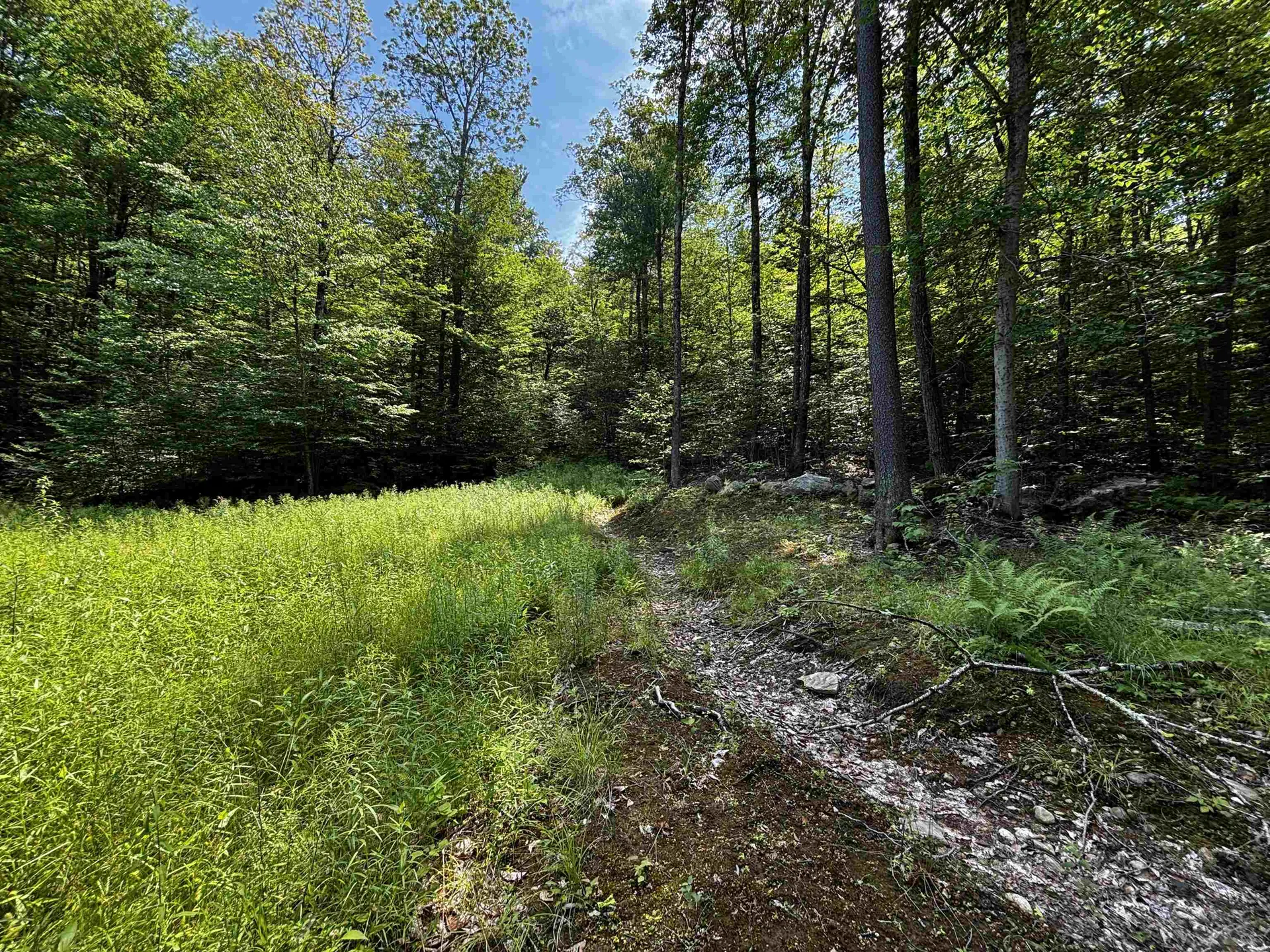 00 Quarry Road Chester VT 01543