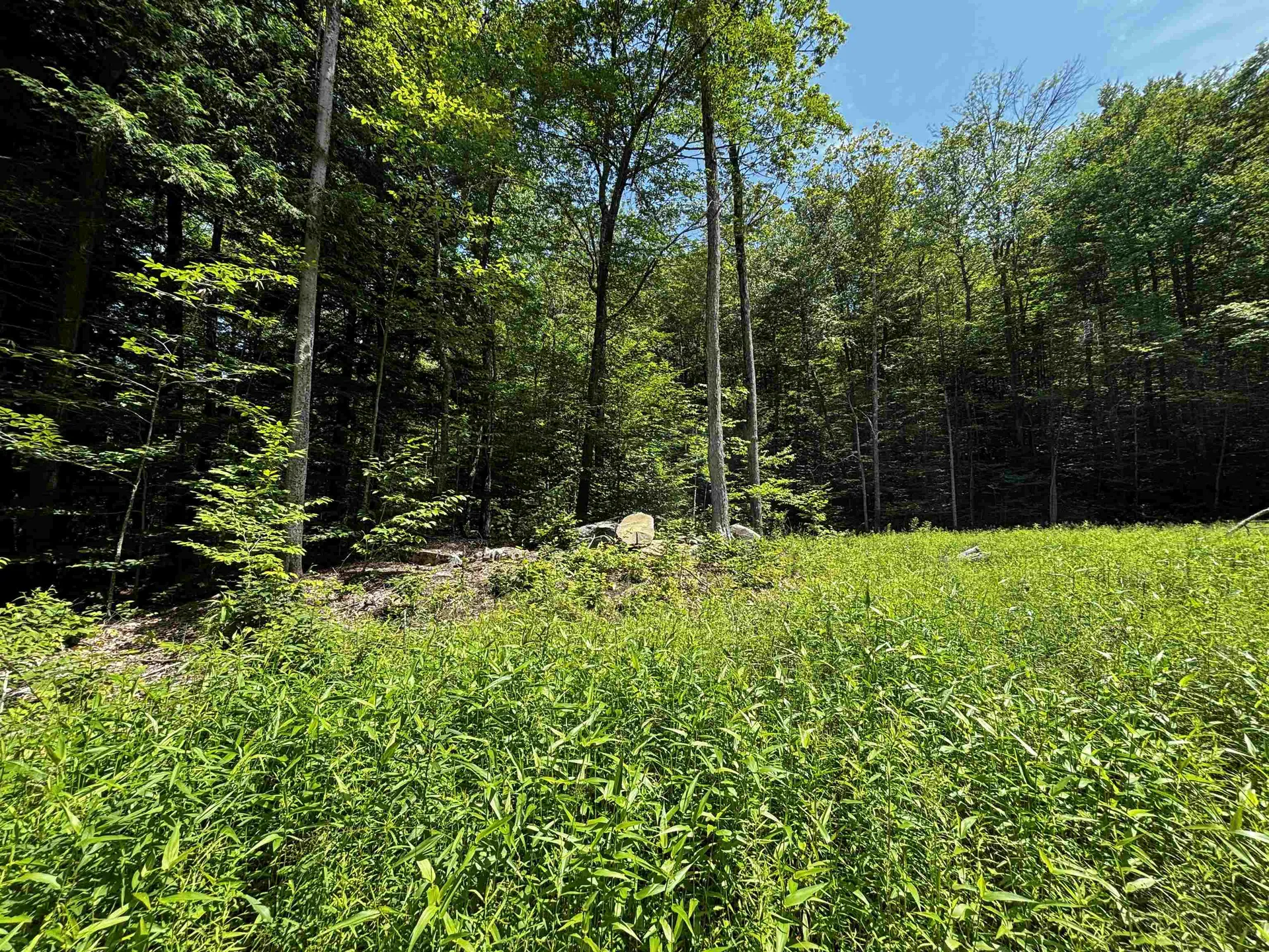 00 Quarry Road Chester VT 01543