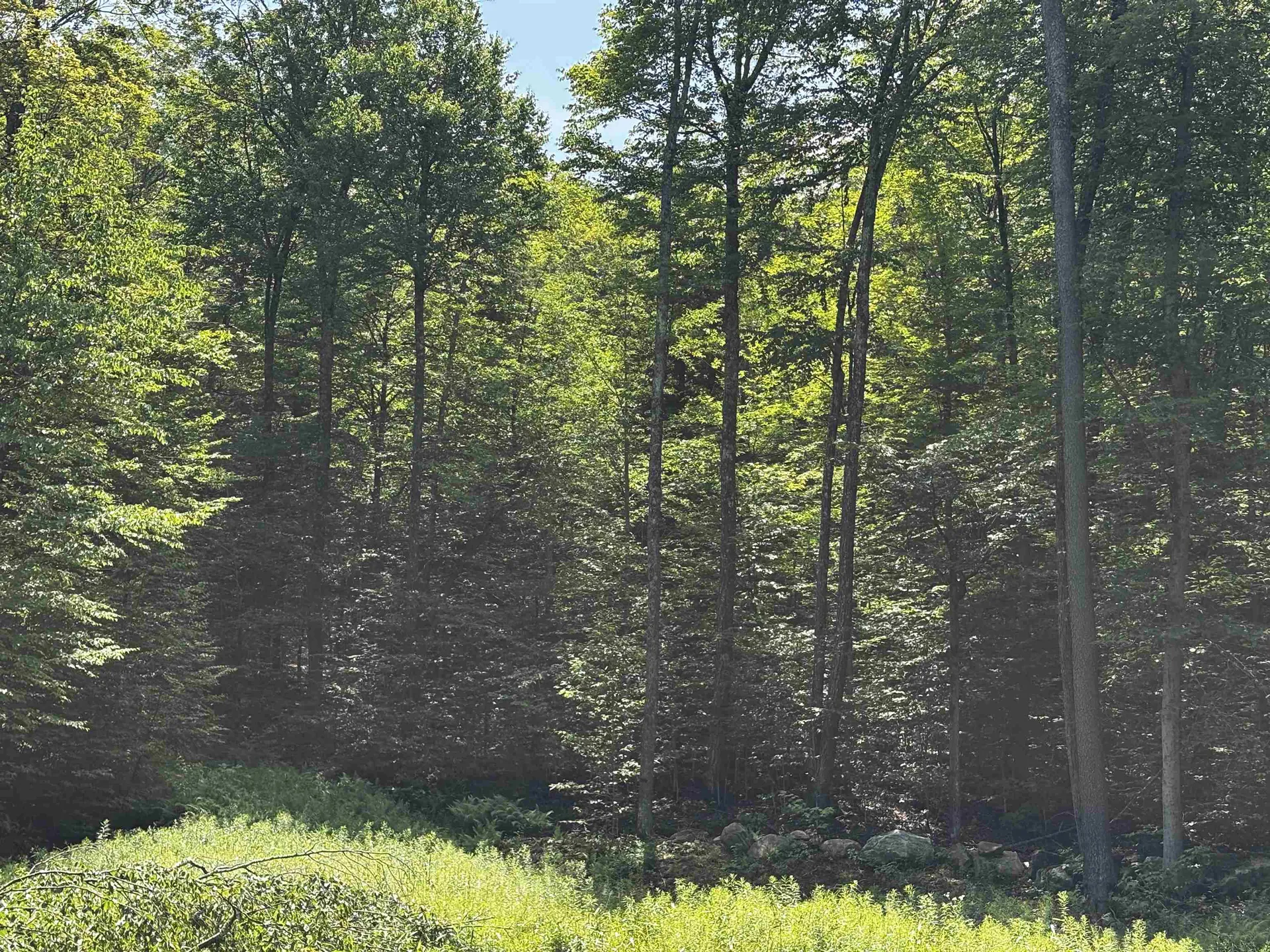00 Quarry Road Chester VT 01543
