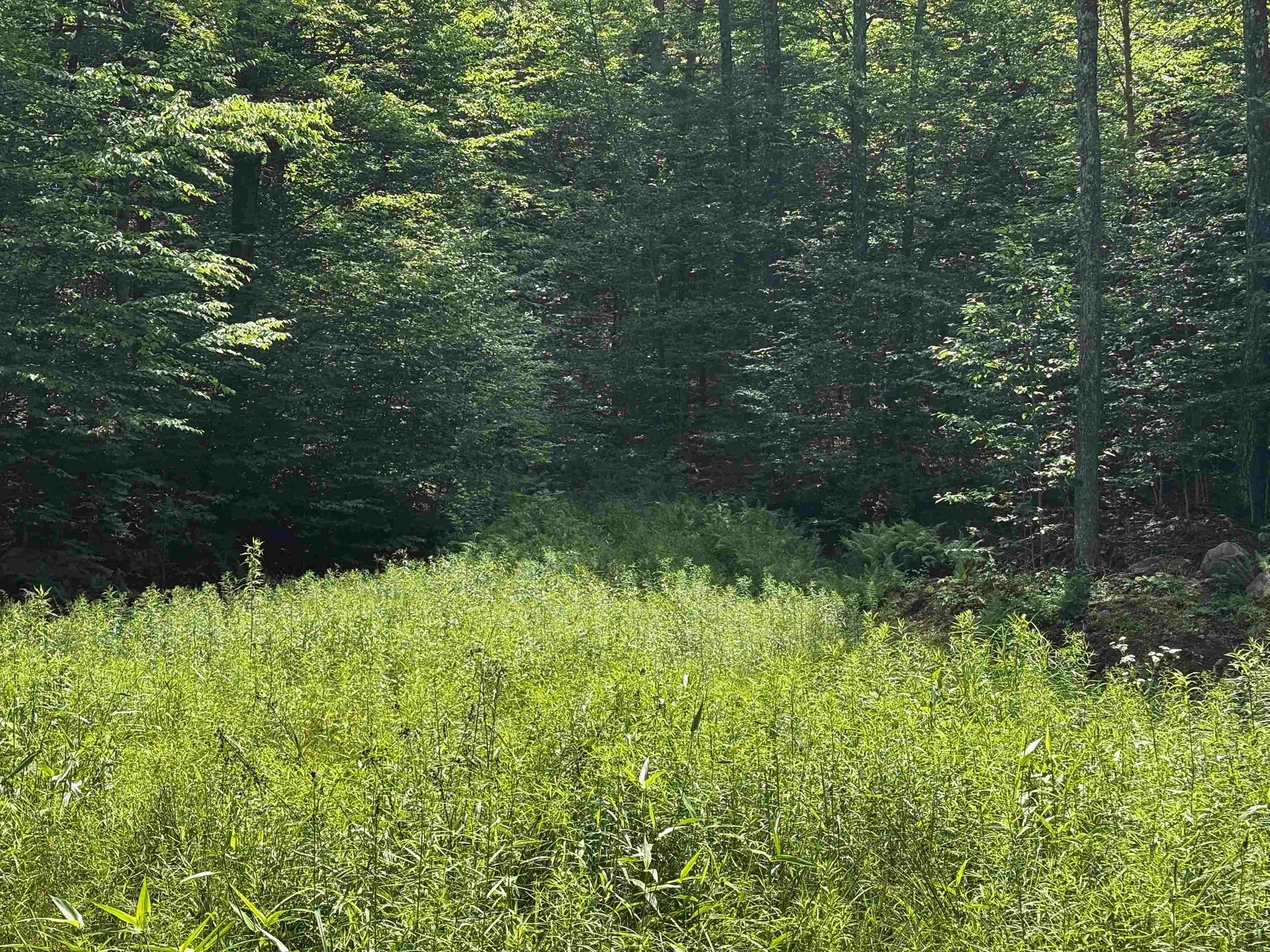 00 Quarry Road Chester VT 01543