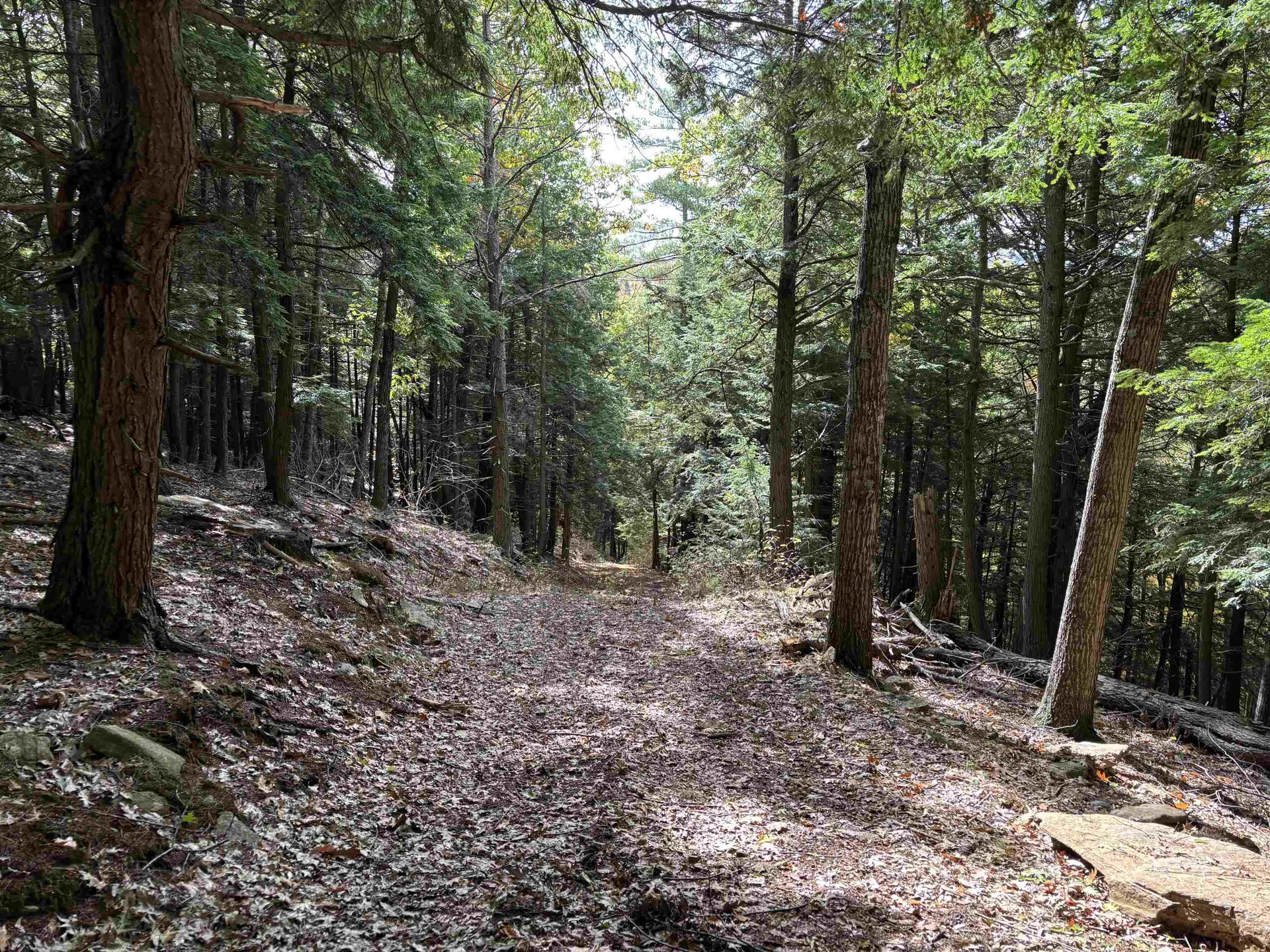 00 Quarry Road Chester VT 01543