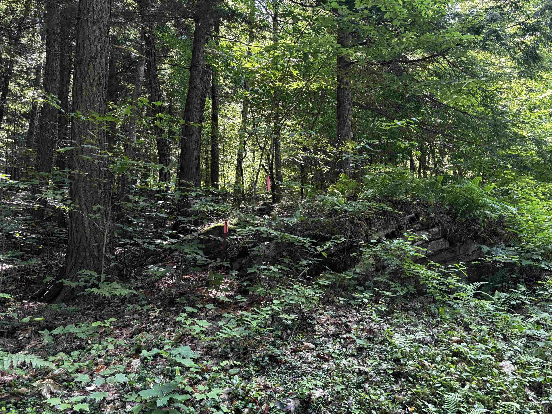 00 Quarry Road Chester VT 01543