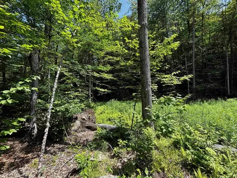 00 Quarry Road Chester VT 01543