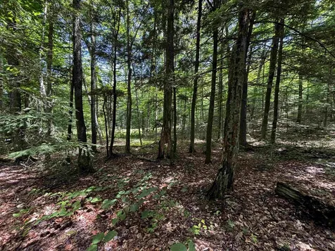 00 Quarry Road Chester VT 01543