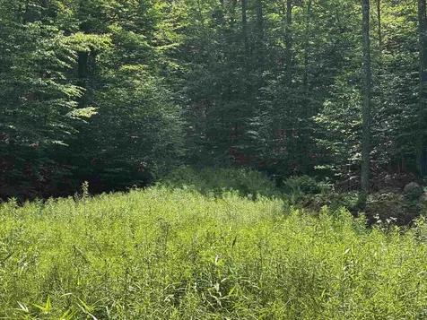 00 Quarry Road Chester VT 01543