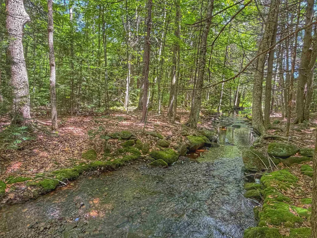 1238 Valley Road Washington NH 03280