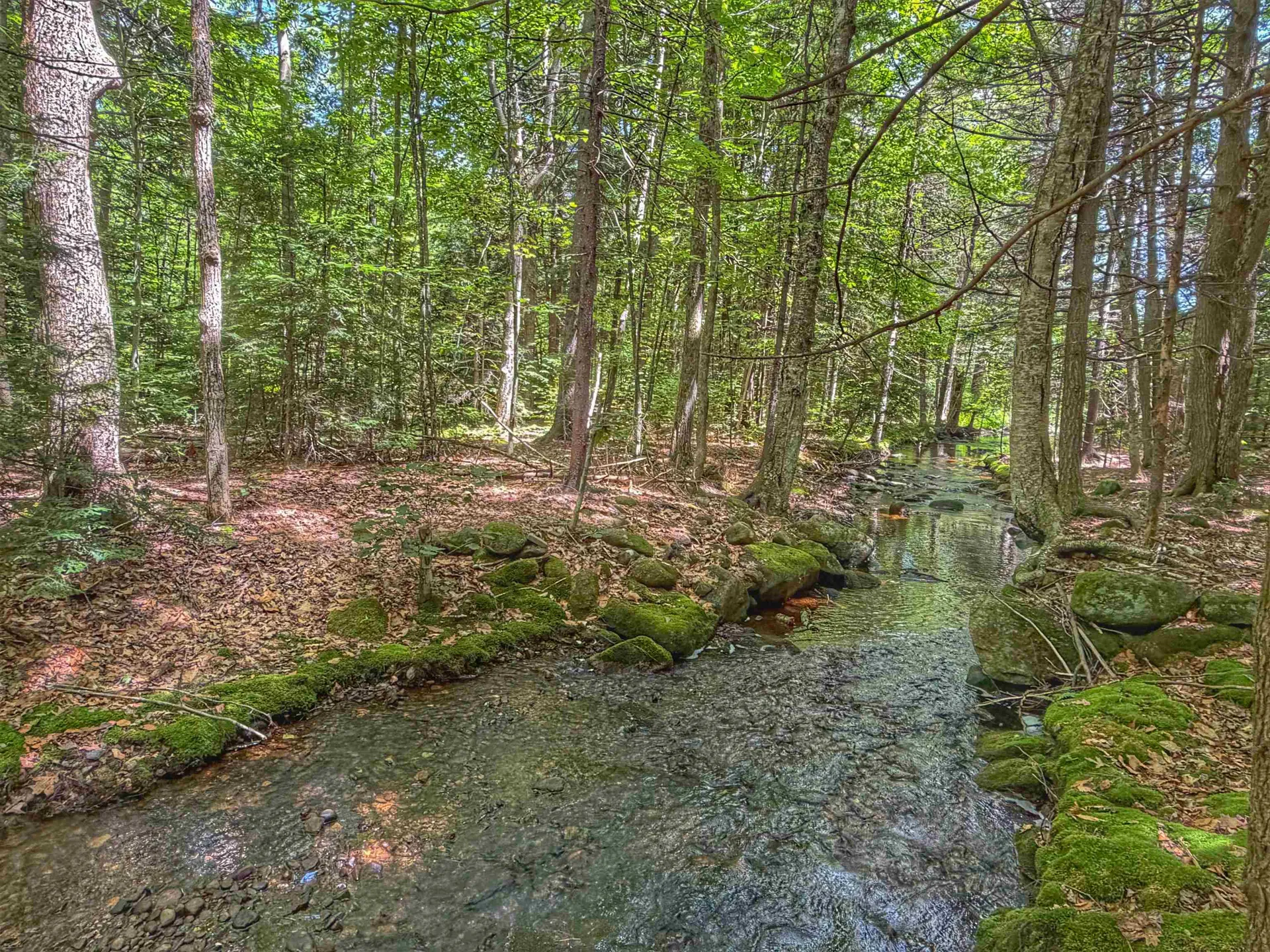 1238 Valley Road Washington NH 03280