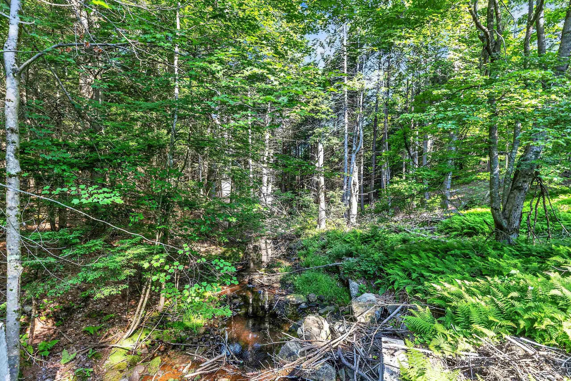 314 Mountain Road Sharon NH 03458