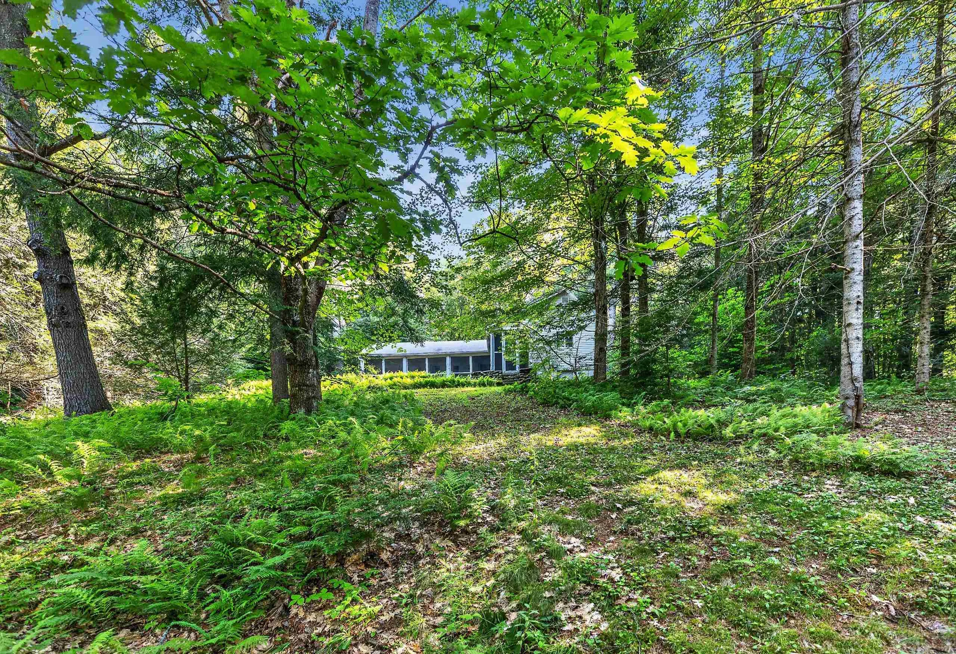 314 Mountain Road Sharon NH 03458