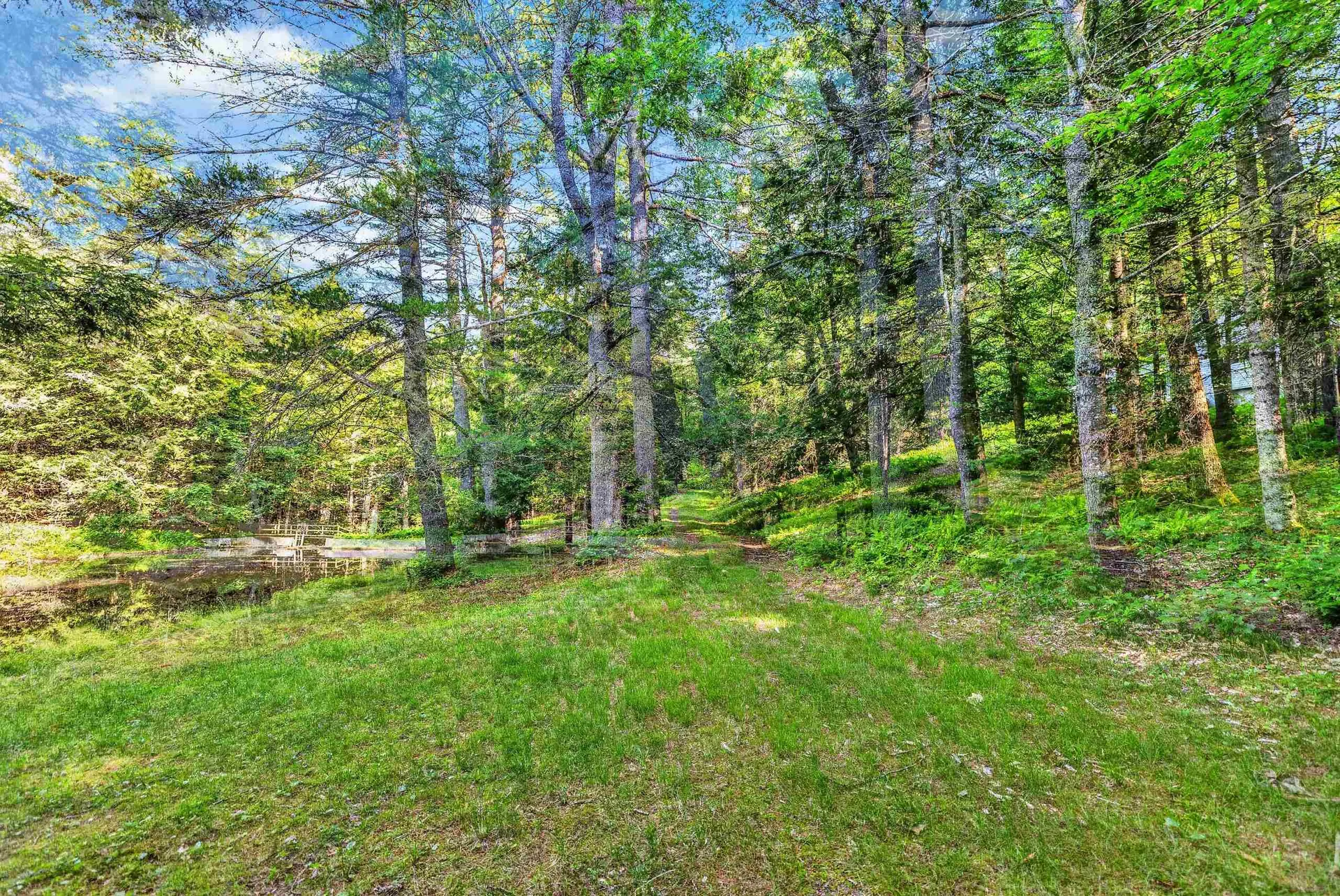 314 Mountain Road Sharon NH 03458
