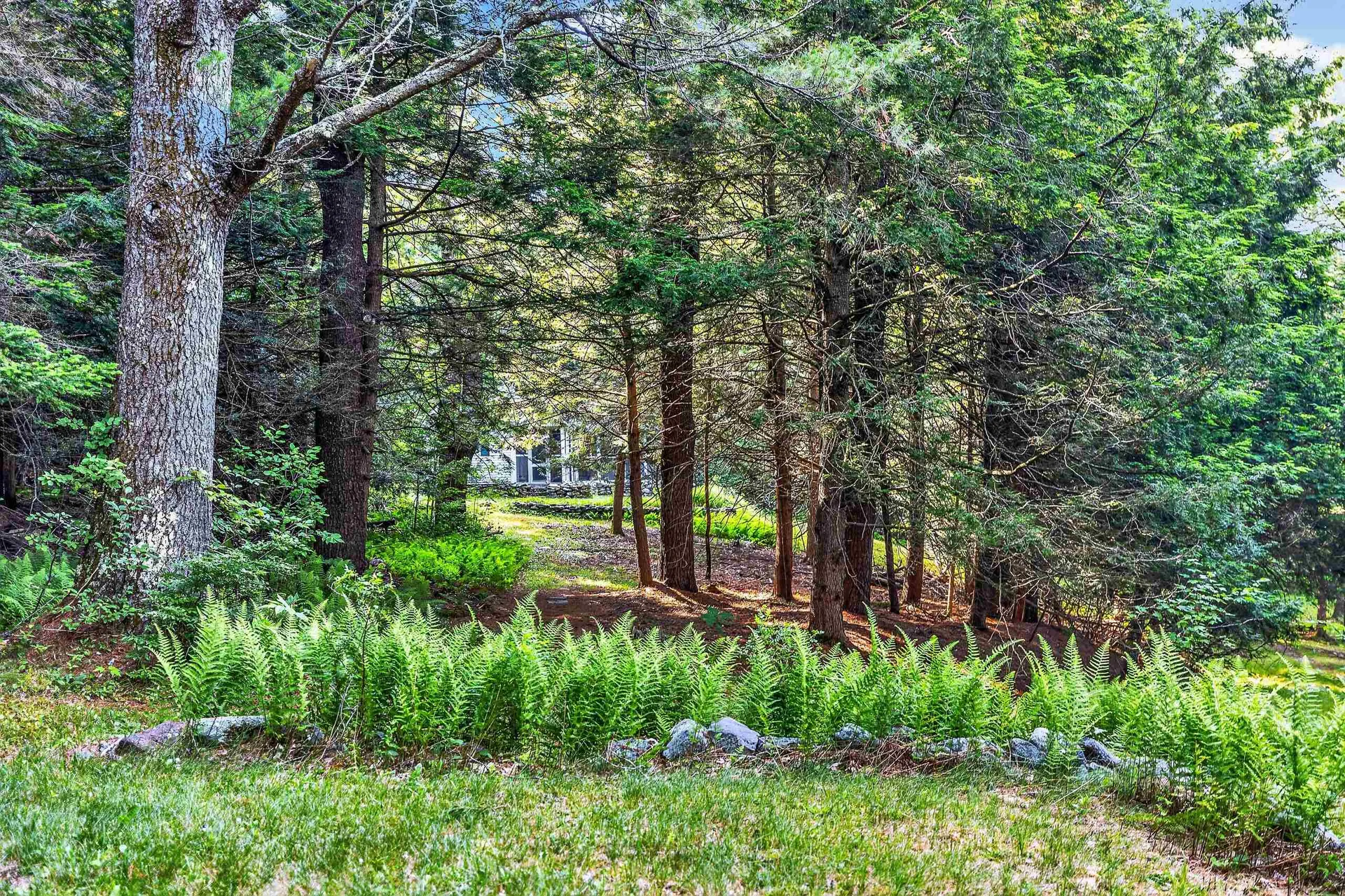 314 Mountain Road Sharon NH 03458