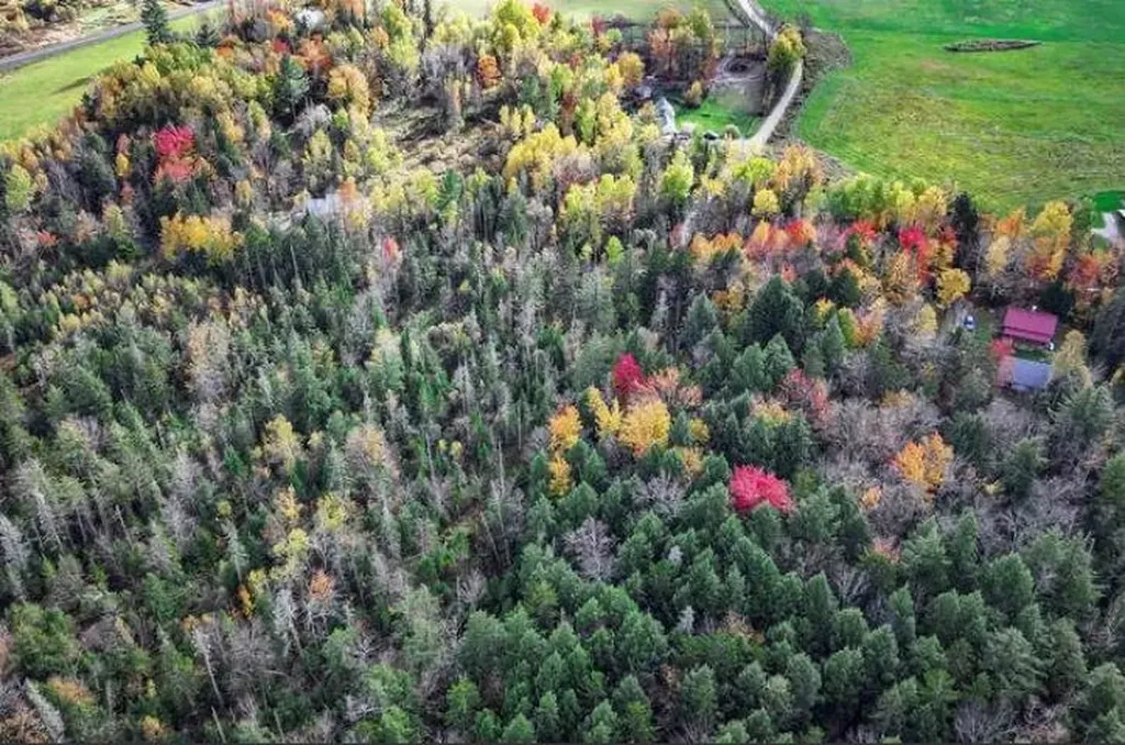 1021 Woods S Road Warren VT 05674