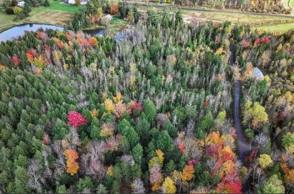 1021 Woods S Road Warren VT 05674