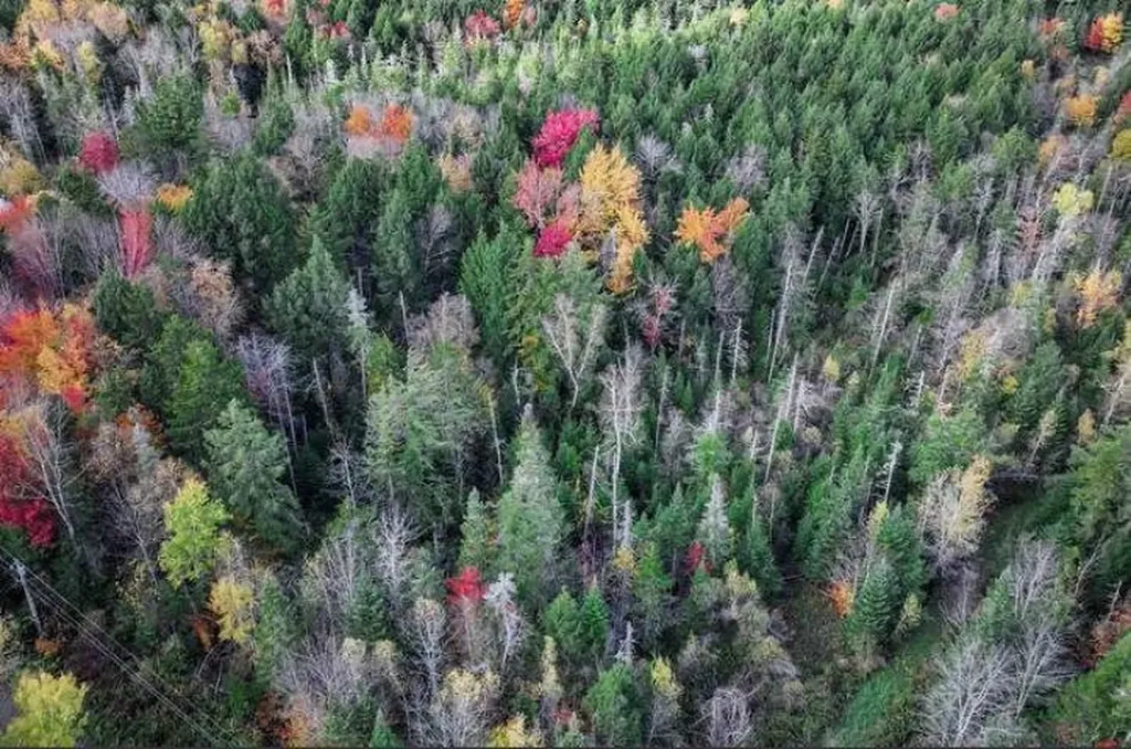1021 Woods S Road Warren VT 05674
