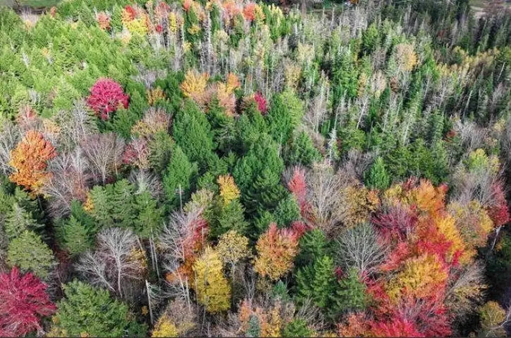 1021 Woods S Road Warren VT 05674