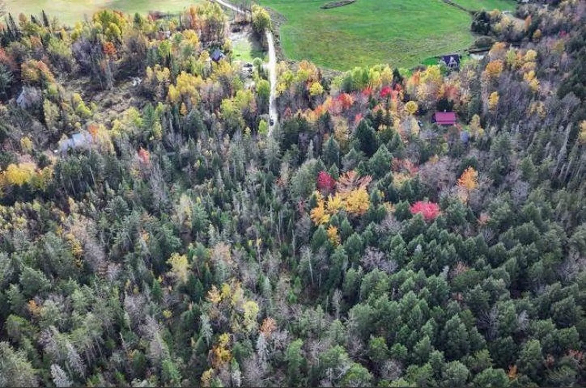 1021 Woods S Road Warren VT 05674