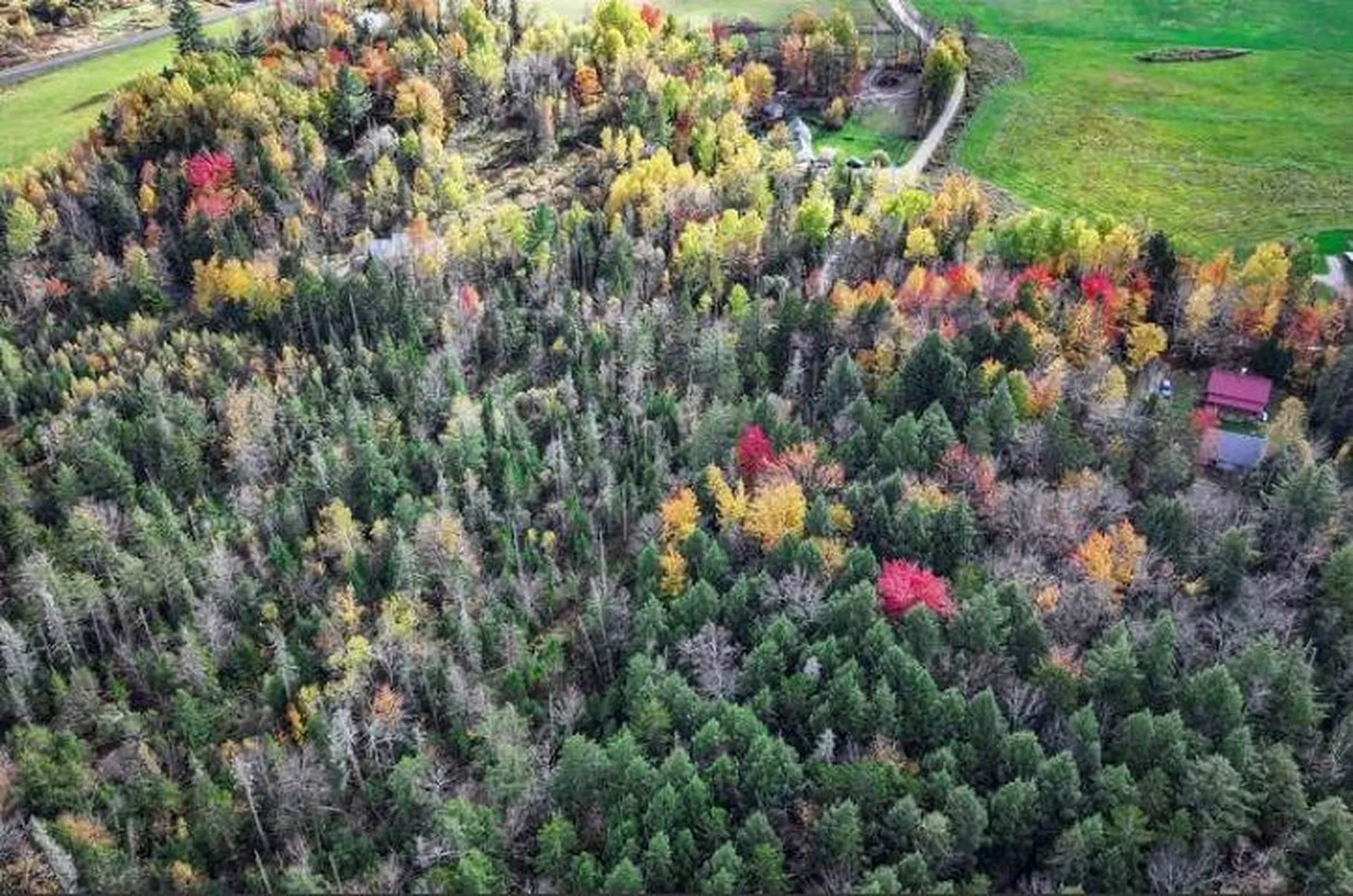 1021 Woods S Road Warren VT 05674