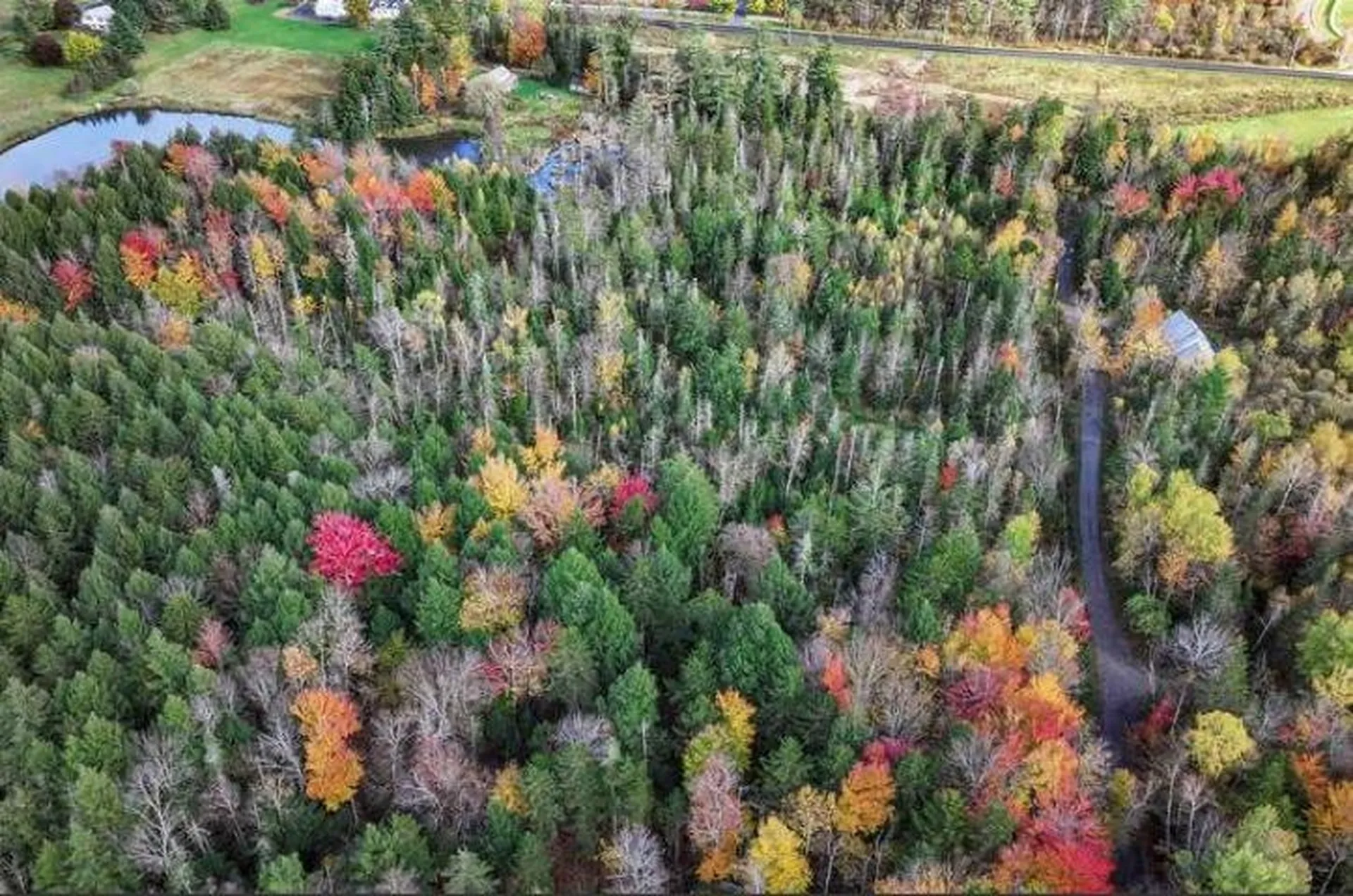 1021 Woods S Road Warren VT 05674
