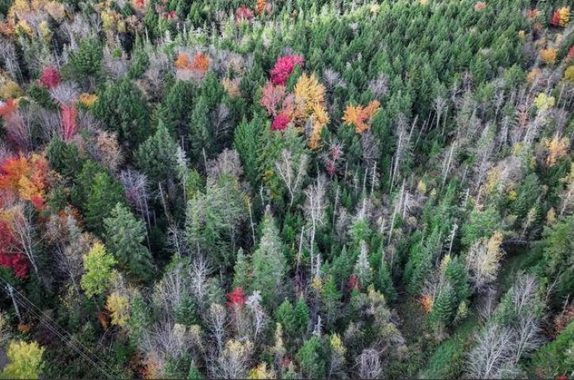 1021 Woods S Road Warren VT 05674