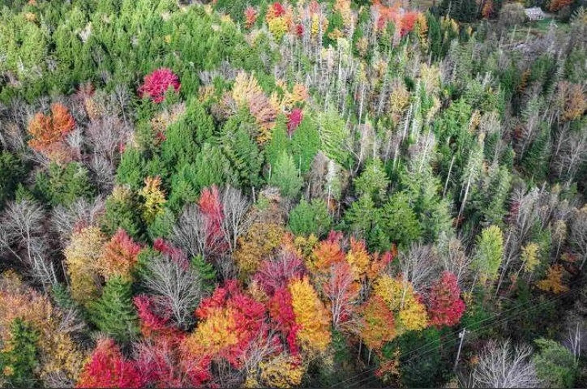 1021 Woods S Road Warren VT 05674