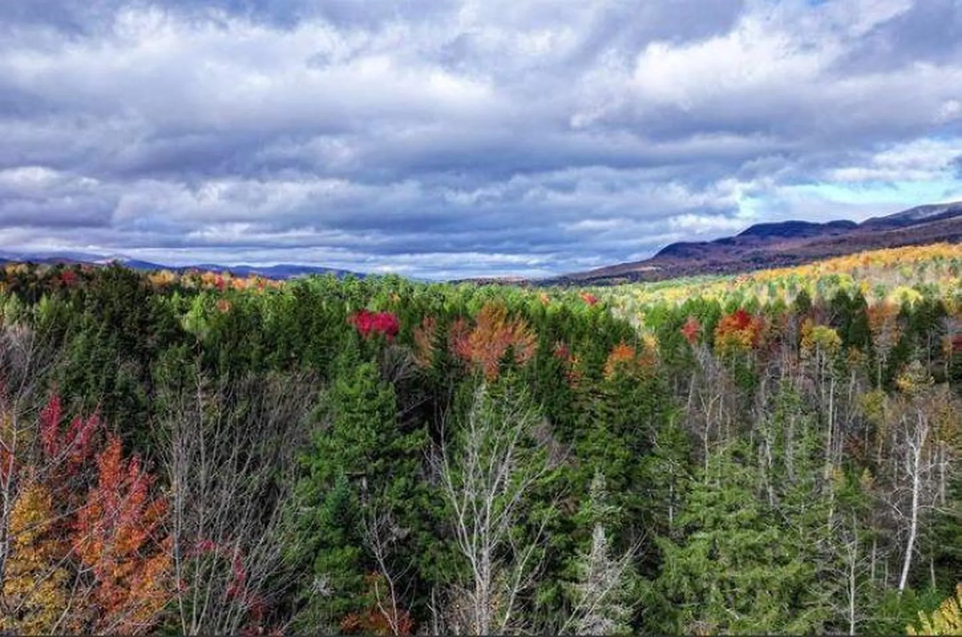 1021 Woods S Road Warren VT 05674