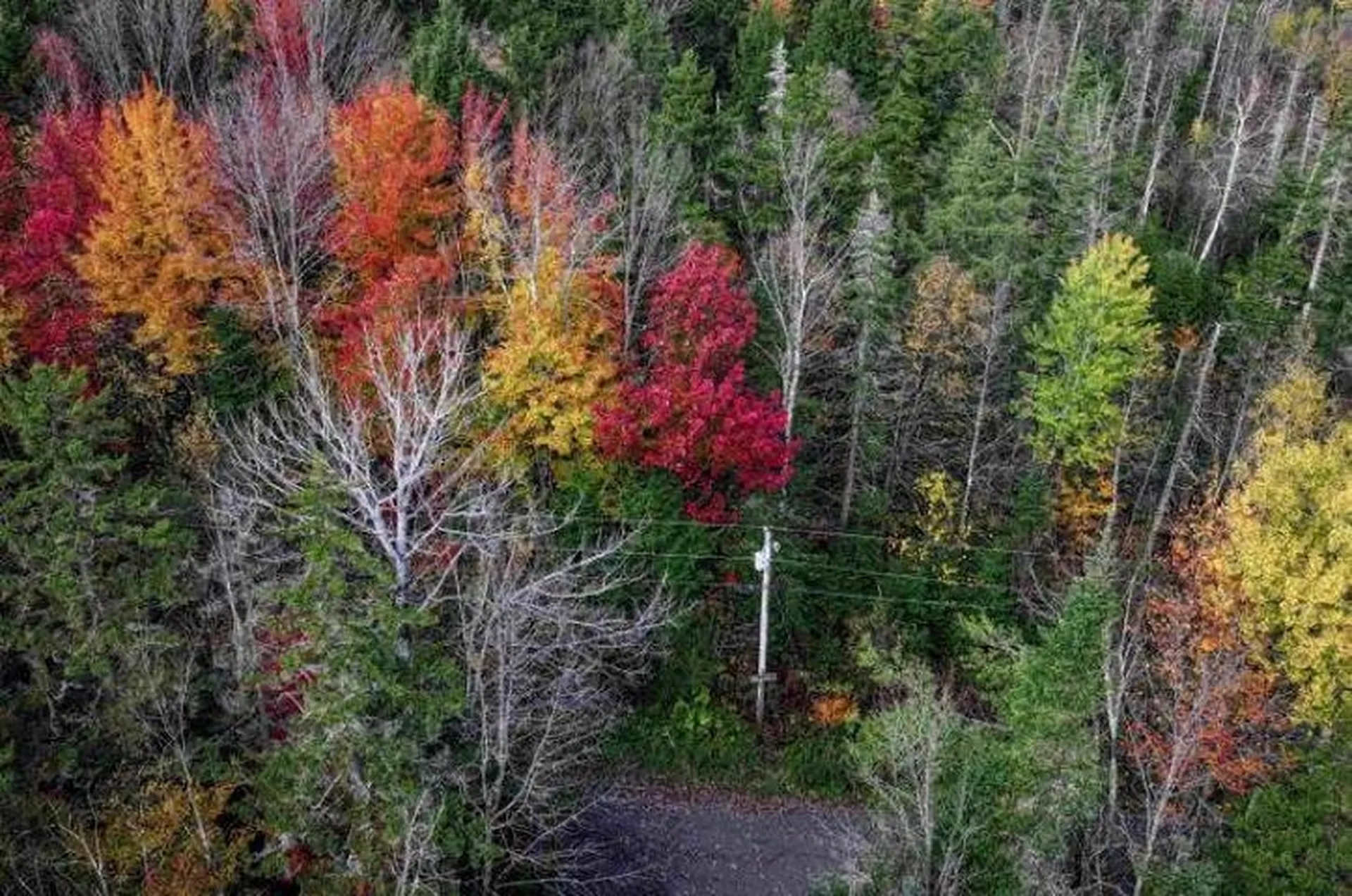 1021 Woods S Road Warren VT 05674