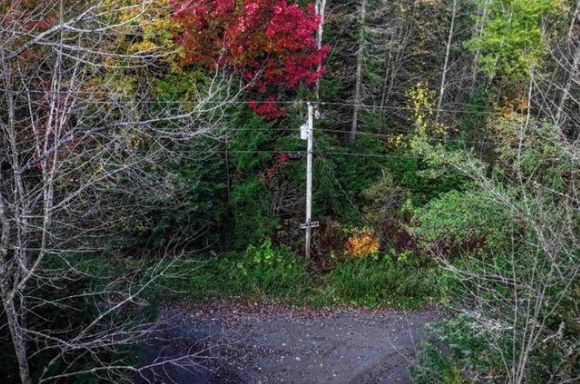 1021 Woods S Road Warren VT 05674