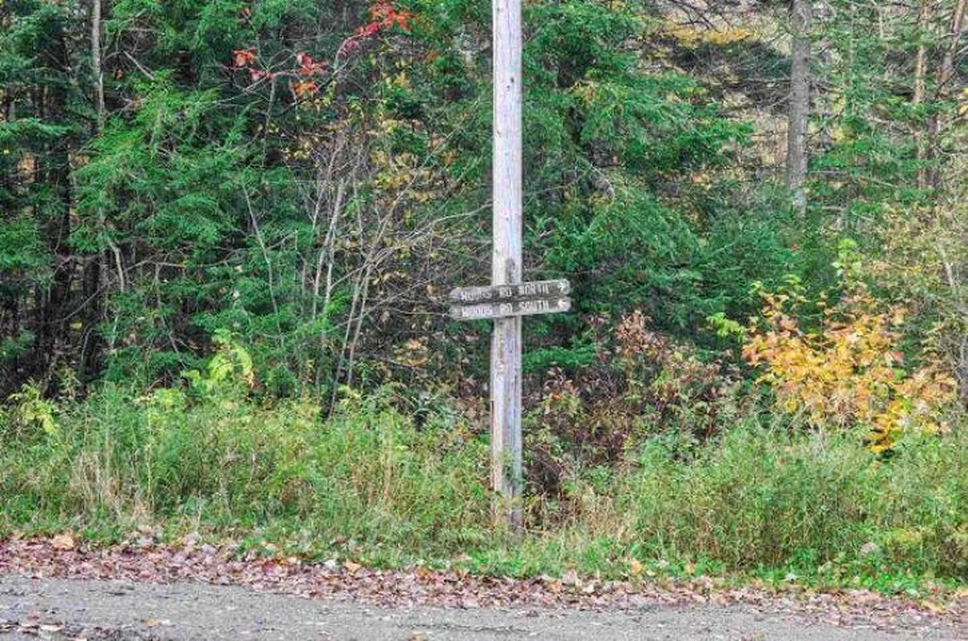 1021 Woods S Road Warren VT 05674