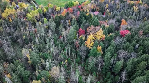 1021 Woods S Road Warren VT 05674