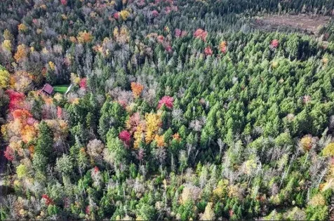1021 Woods S Road Warren VT 05674