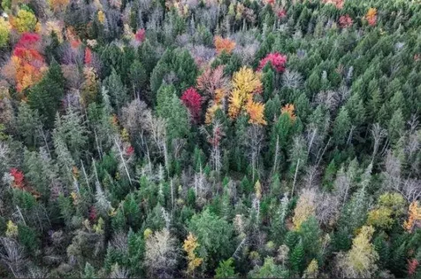 1021 Woods S Road Warren VT 05674