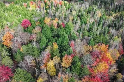 1021 Woods S Road Warren VT 05674
