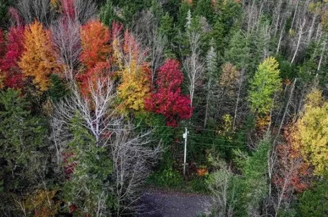 1021 Woods S Road Warren VT 05674