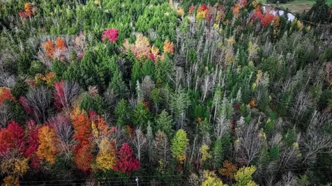 1021 Woods S Road Warren VT 05674