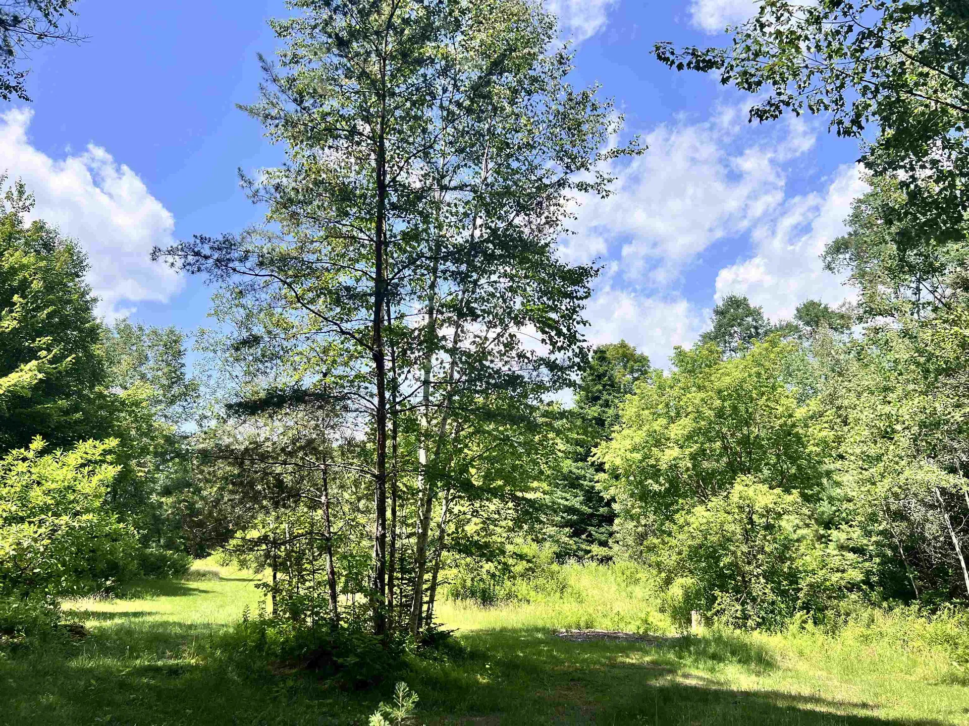 2775 Fish Hill Road Randolph VT 05060