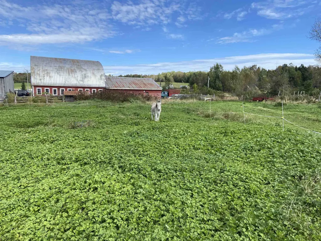 44 Poirier Lane Brownington VT 05860