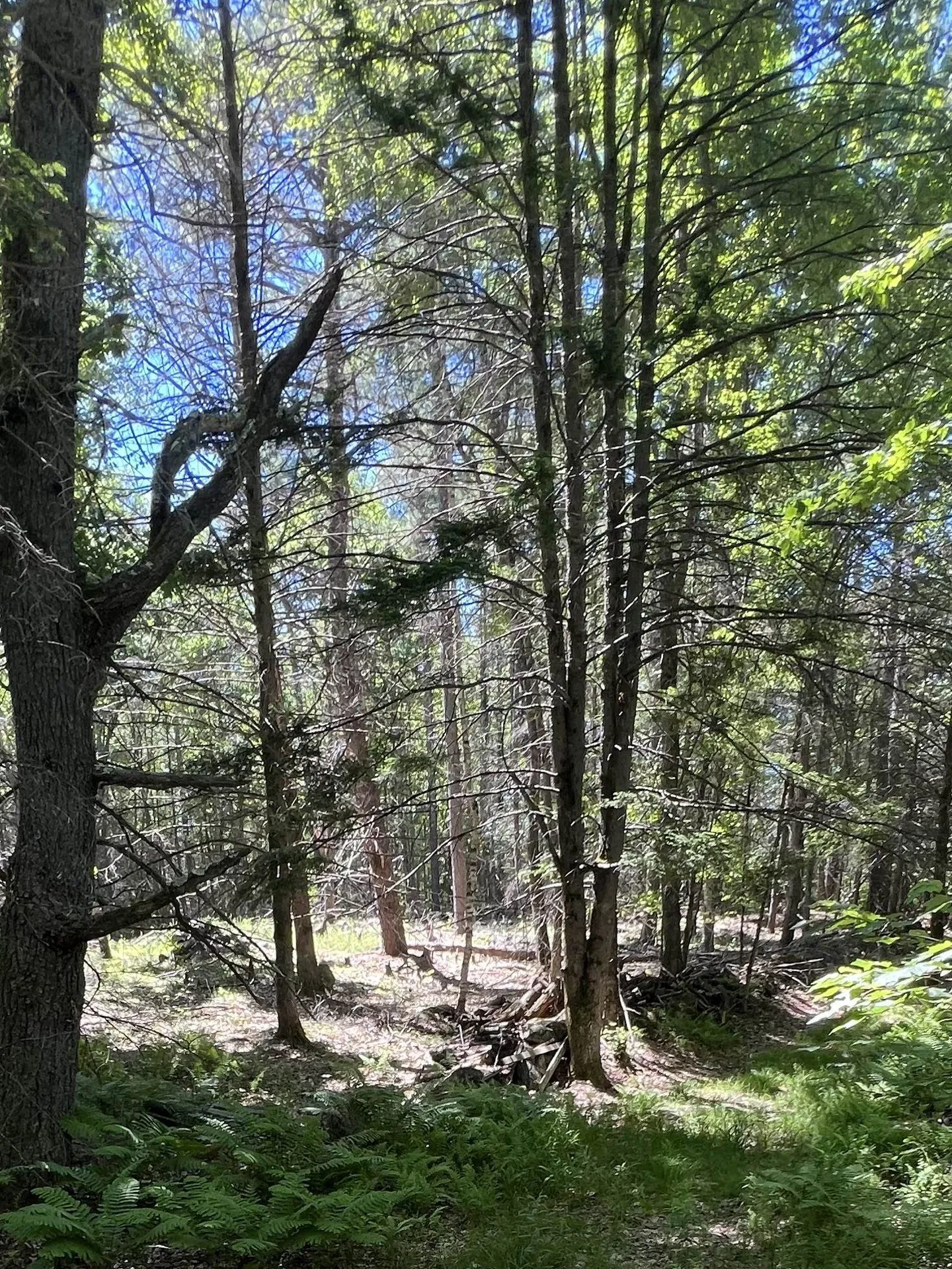 Map 2 Lot 94 School Street Winchendon MA 01475