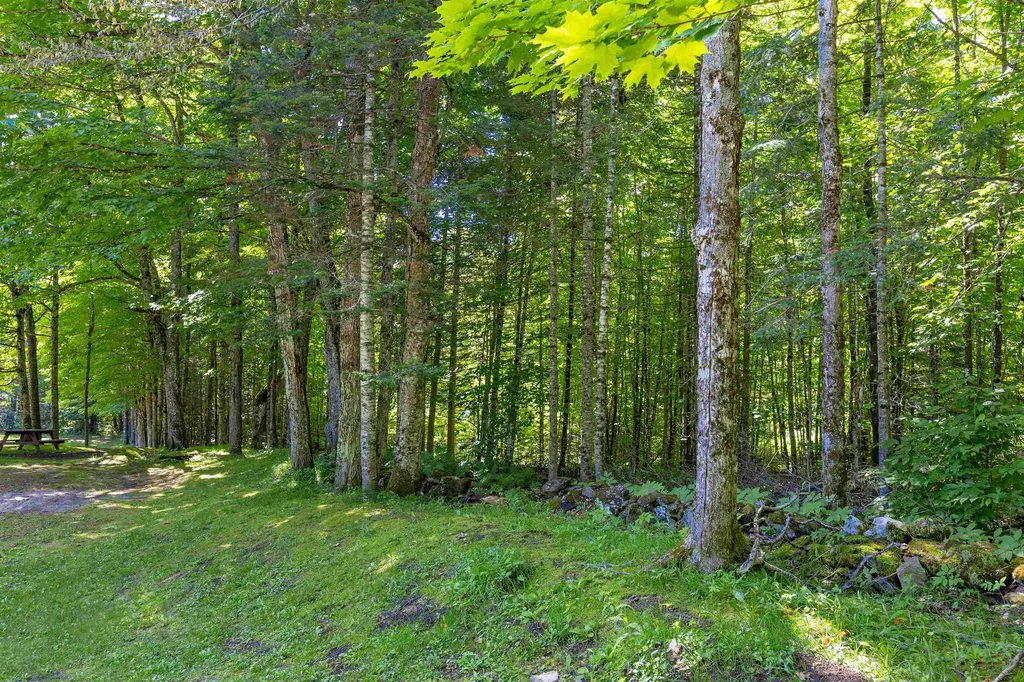 1316 Kittredge Road Danville VT 05828