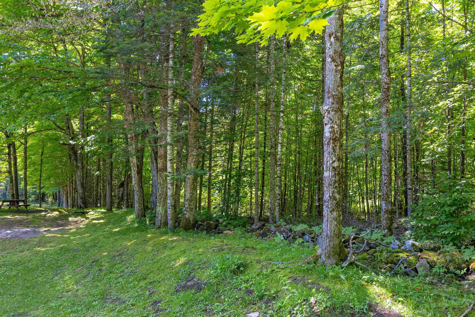1316 Kittredge Road Danville VT 05828