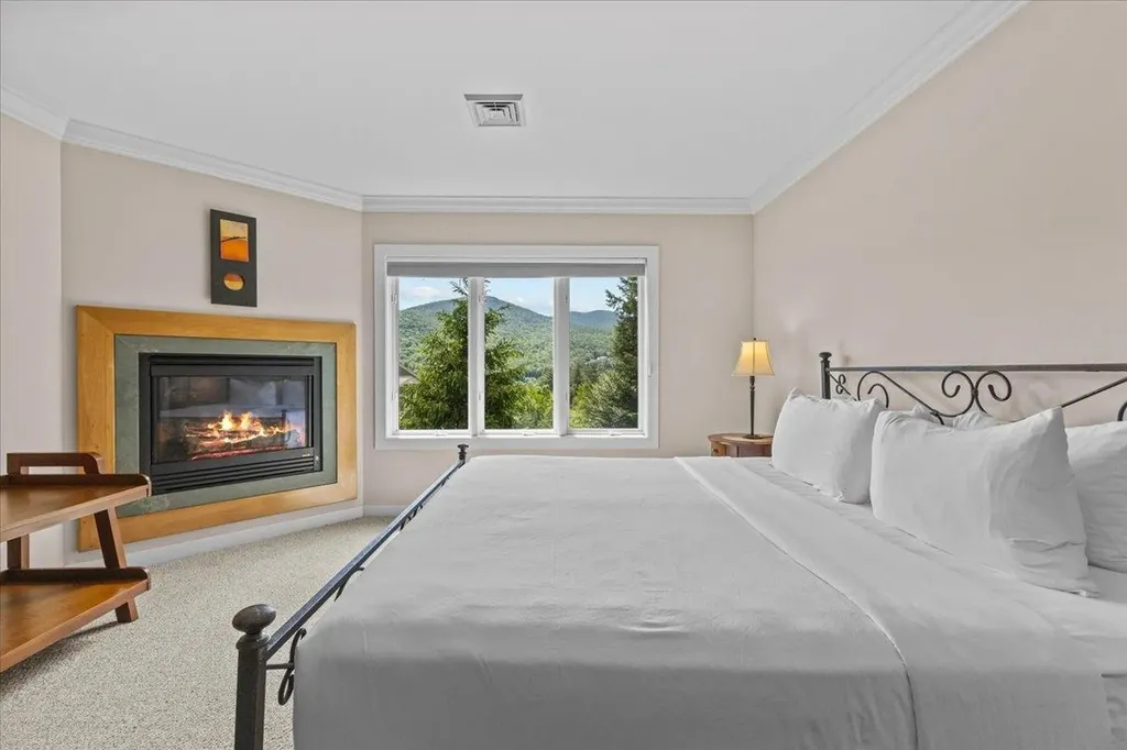 654 Topnotch Drive Stowe VT 05672