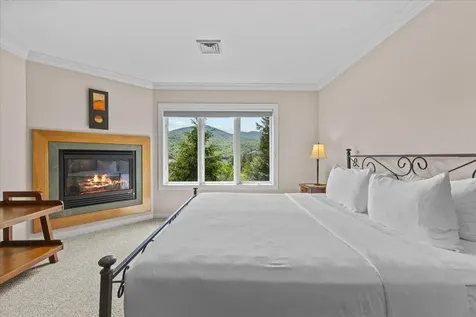 654 Topnotch Drive Stowe VT 05672